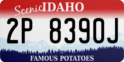 ID license plate 2P8390J