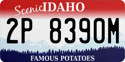 ID license plate 2P8390M