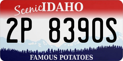 ID license plate 2P8390S