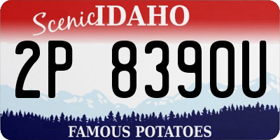 ID license plate 2P8390U