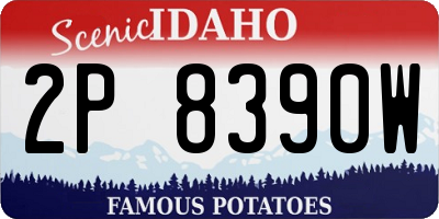ID license plate 2P8390W