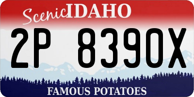 ID license plate 2P8390X