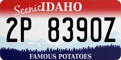ID license plate 2P8390Z