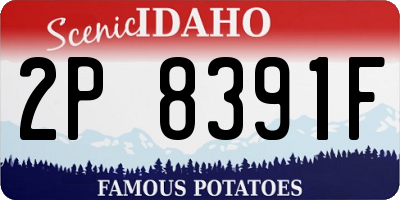 ID license plate 2P8391F