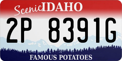 ID license plate 2P8391G