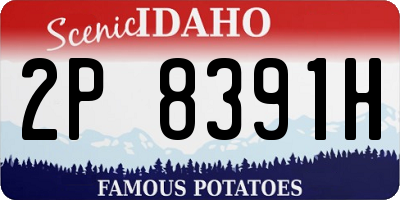 ID license plate 2P8391H