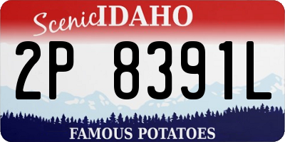 ID license plate 2P8391L