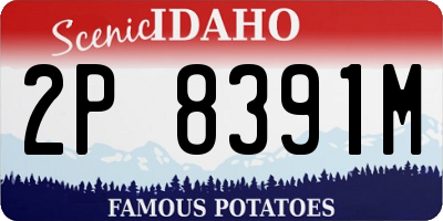 ID license plate 2P8391M