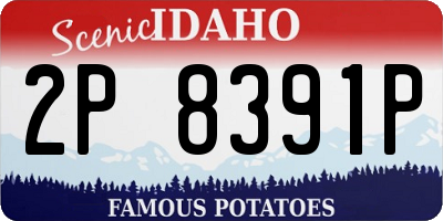 ID license plate 2P8391P