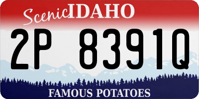 ID license plate 2P8391Q