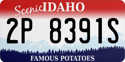 ID license plate 2P8391S