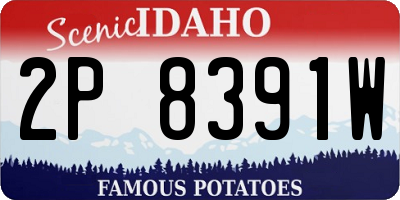 ID license plate 2P8391W
