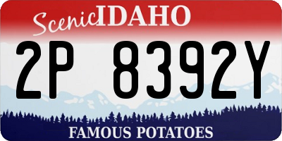 ID license plate 2P8392Y