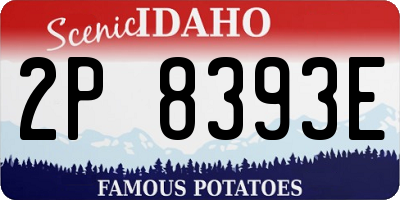 ID license plate 2P8393E