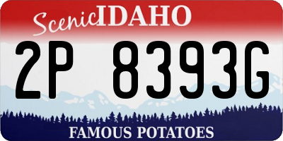 ID license plate 2P8393G