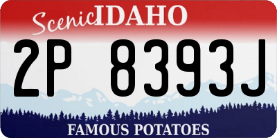 ID license plate 2P8393J