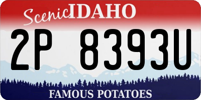ID license plate 2P8393U