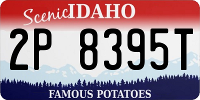 ID license plate 2P8395T