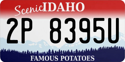 ID license plate 2P8395U