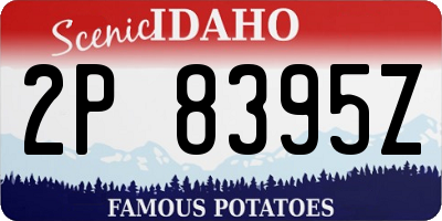 ID license plate 2P8395Z