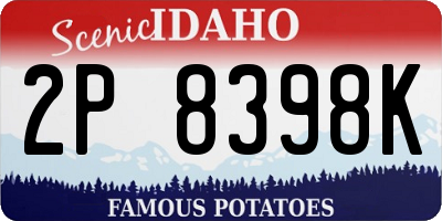 ID license plate 2P8398K