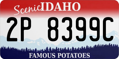 ID license plate 2P8399C