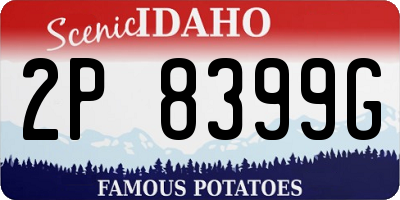 ID license plate 2P8399G