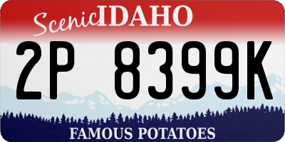 ID license plate 2P8399K