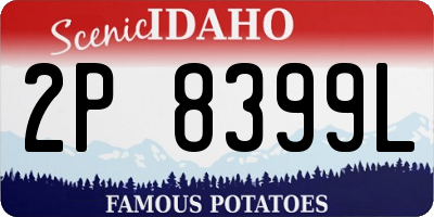 ID license plate 2P8399L