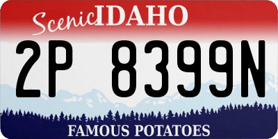 ID license plate 2P8399N