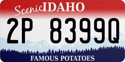 ID license plate 2P8399Q