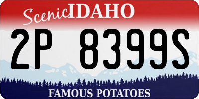 ID license plate 2P8399S