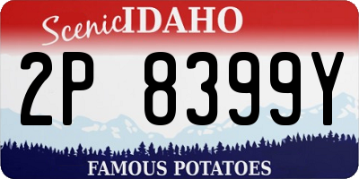 ID license plate 2P8399Y