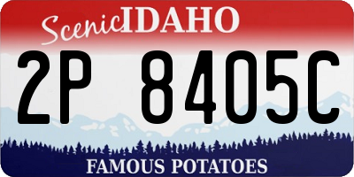 ID license plate 2P8405C