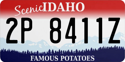 ID license plate 2P8411Z