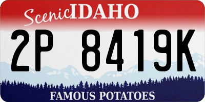 ID license plate 2P8419K