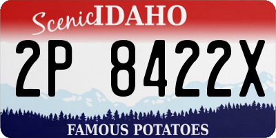 ID license plate 2P8422X