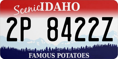 ID license plate 2P8422Z