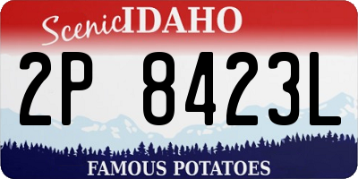 ID license plate 2P8423L