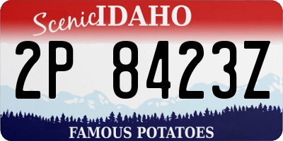 ID license plate 2P8423Z