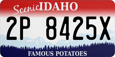 ID license plate 2P8425X