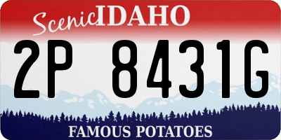 ID license plate 2P8431G
