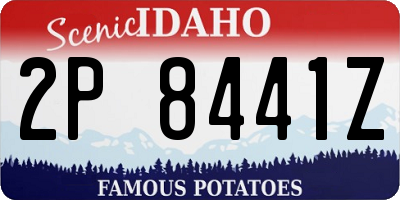 ID license plate 2P8441Z