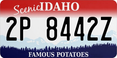 ID license plate 2P8442Z