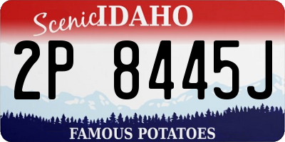 ID license plate 2P8445J