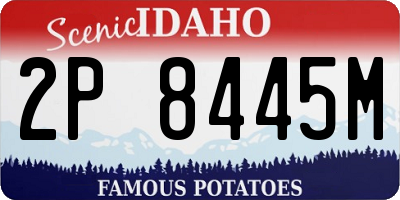 ID license plate 2P8445M