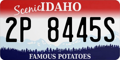 ID license plate 2P8445S