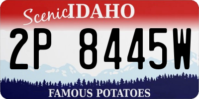 ID license plate 2P8445W