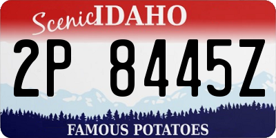 ID license plate 2P8445Z