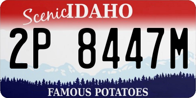ID license plate 2P8447M
